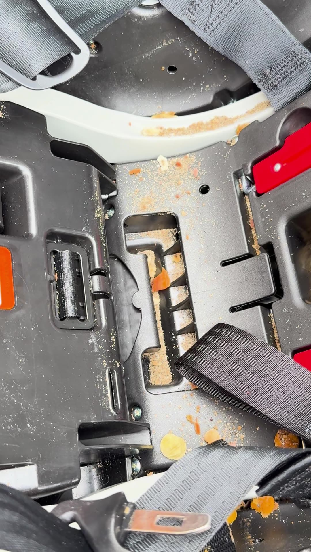 The bare plastic base with the seat pad removed: crumbs and cracker pieces packed into the buckle channel and around the harness straps